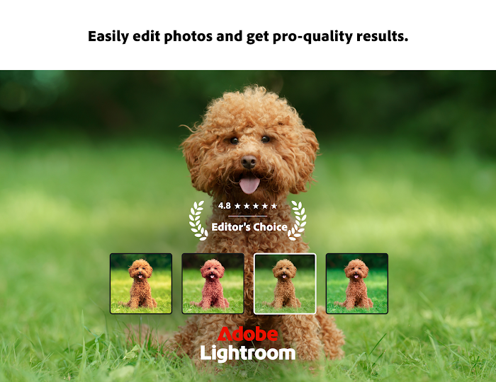 Lightroom Photo & Video Editor screenshot