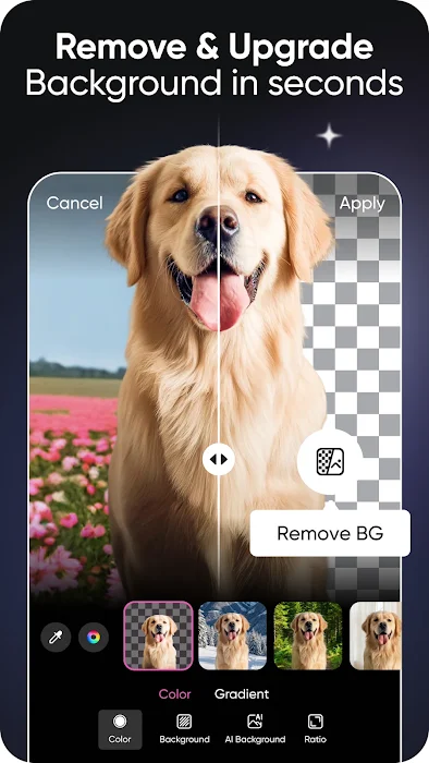 Picsart AI Photo Editor, Video screenshot