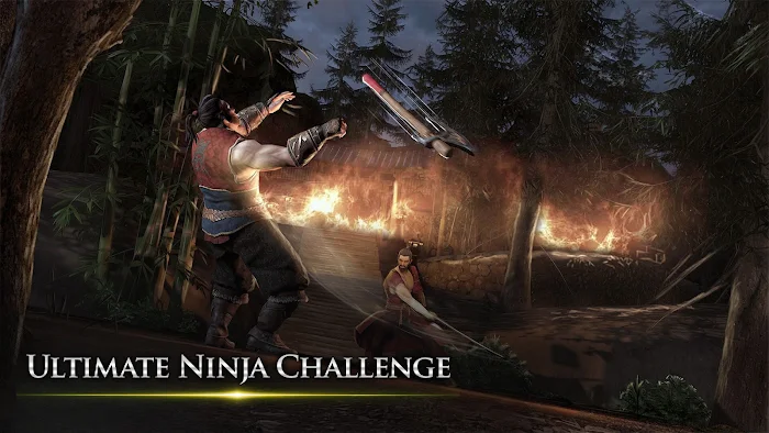 Takashi Ninja Samurai Game screenshot