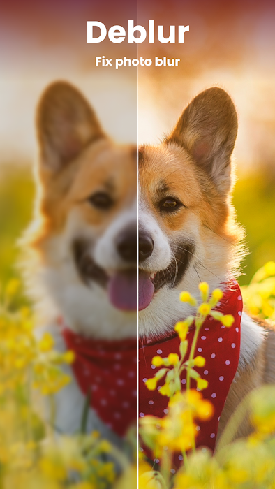 Enhance it - AI Photo Editor screenshot
