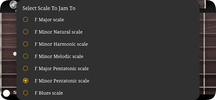 Guitar Scales Chords Pro screenshot