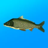 True Fishing