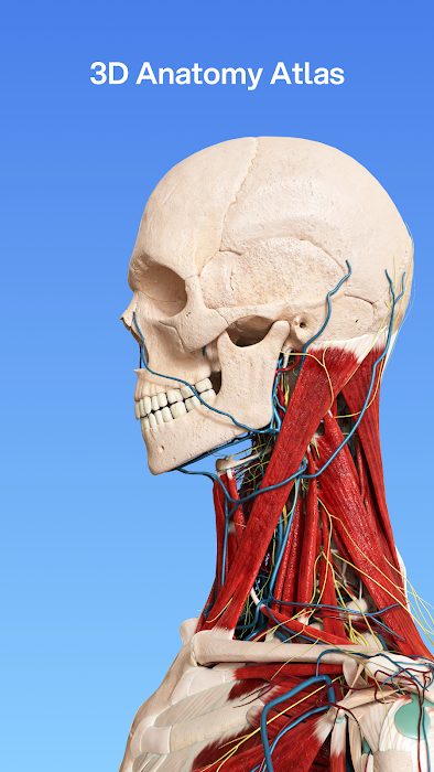 VOKA 3D Anatomy and Physiology screenshot