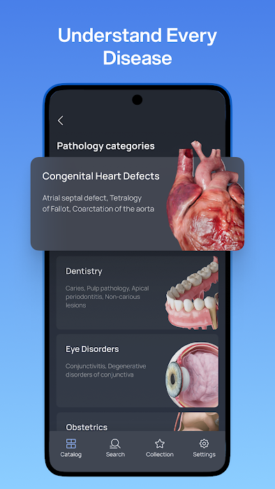 VOKA 3D Anatomy and Physiology screenshot
