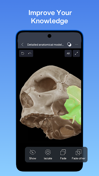 VOKA 3D Anatomy and Physiology screenshot
