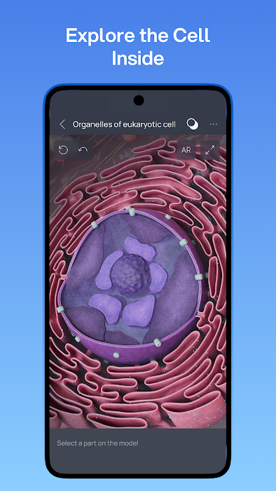 VOKA 3D Anatomy and Physiology screenshot